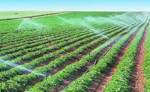 插骚骚的逼视频农田高 效节水灌溉